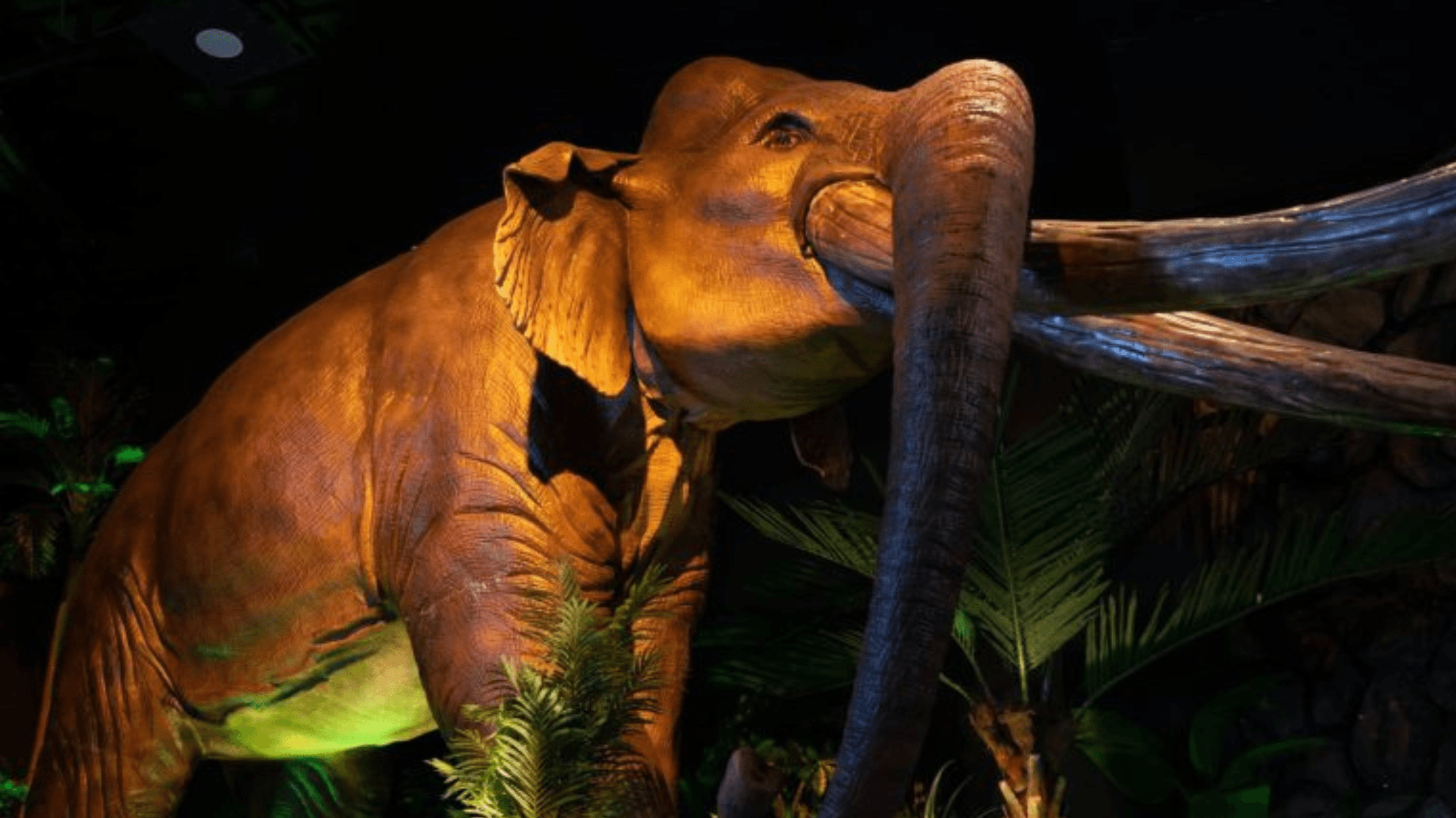 Wetland Studios Putrajaya