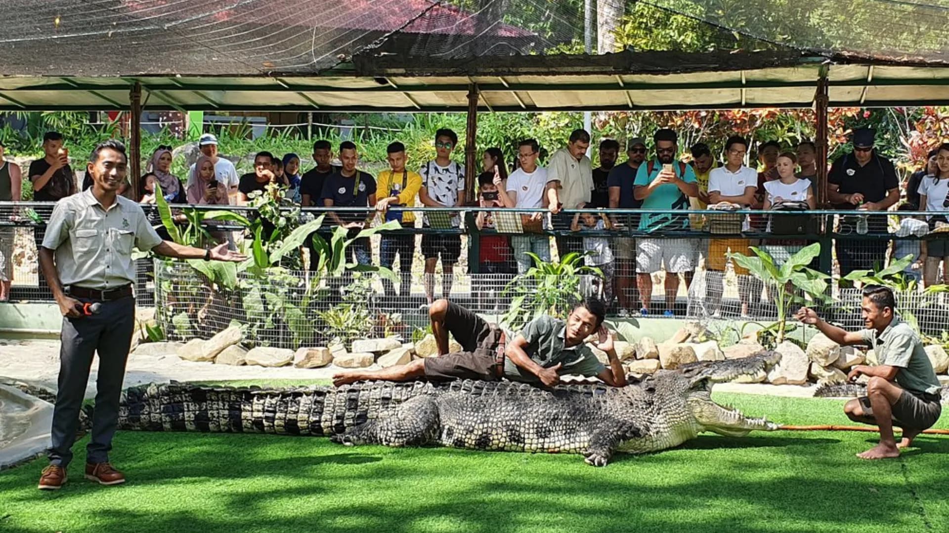 Crocodile Adventureland Langkawi